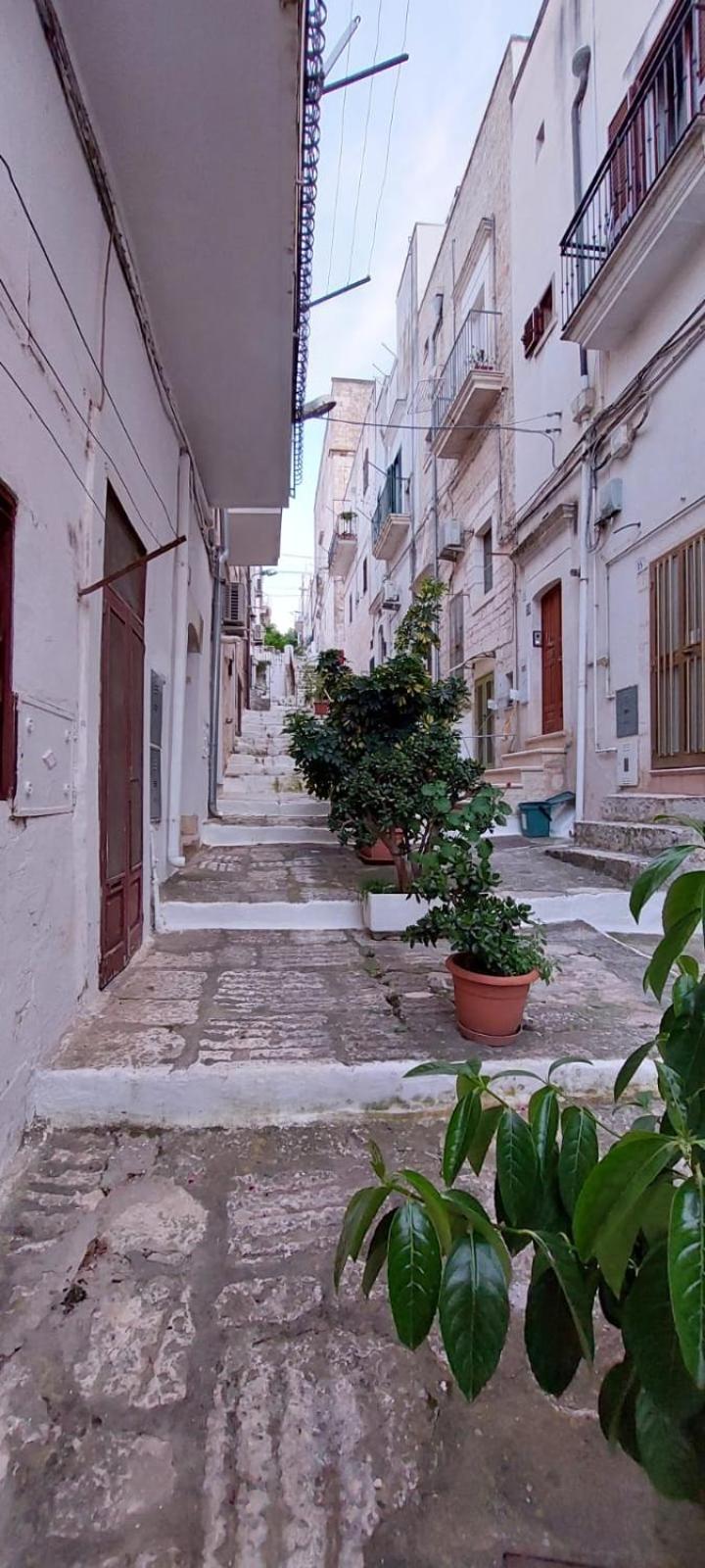 Vico Anglani Guest House Ostuni Exterior photo
